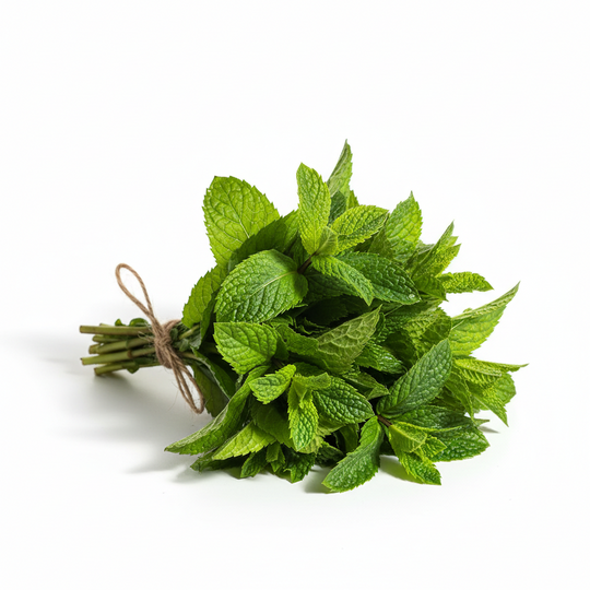 Peppermint Leaf Essential Oil (Mentha Arvensis)