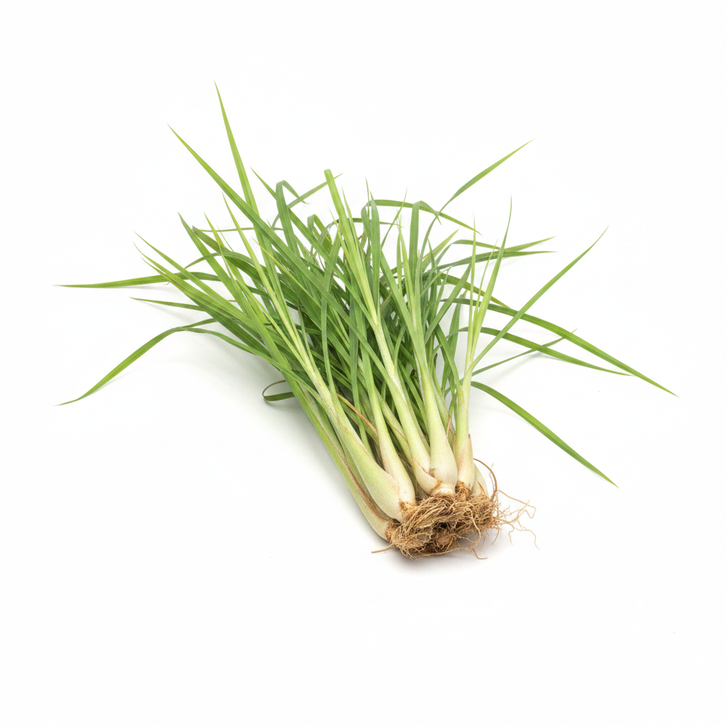 Lemongrass Essential Oil (Cymbopogon schoenanthus)
